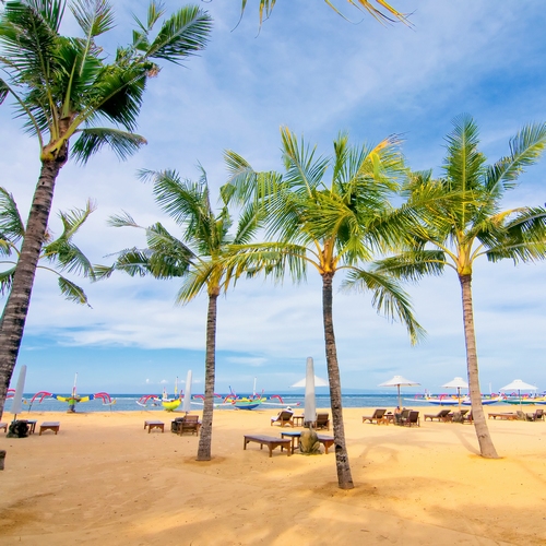 Palmbomen op het strand van Sanur, Bali