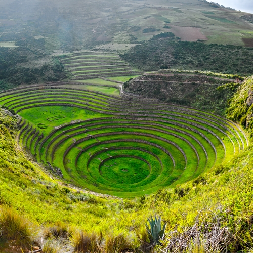 Moray agricultuur