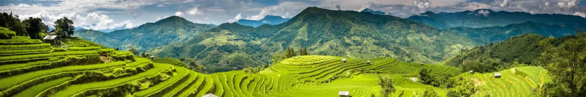 Sapa