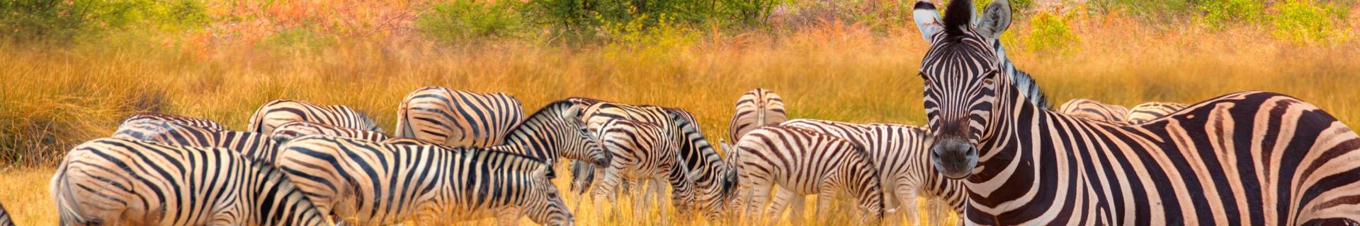 Hoogtepunten van Namibië
