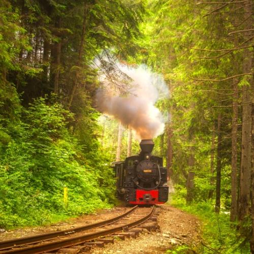 Dag 8 Buccovina, Mocanita stoomtrein