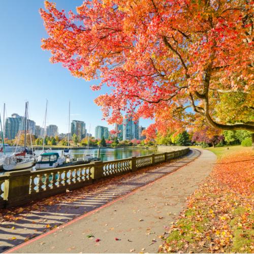 Stanley Park
