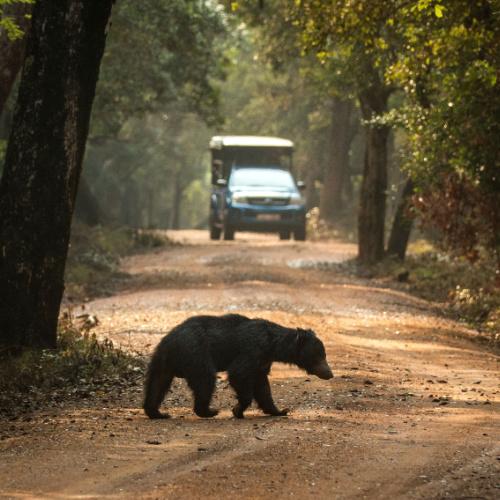 Wilpattu Nationaal Park