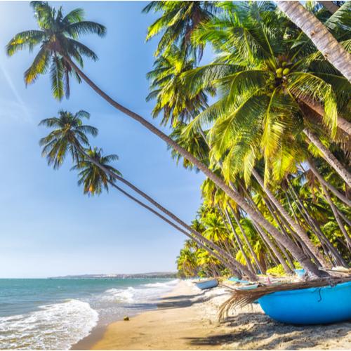Strand van Phan Thiet met palmbomen