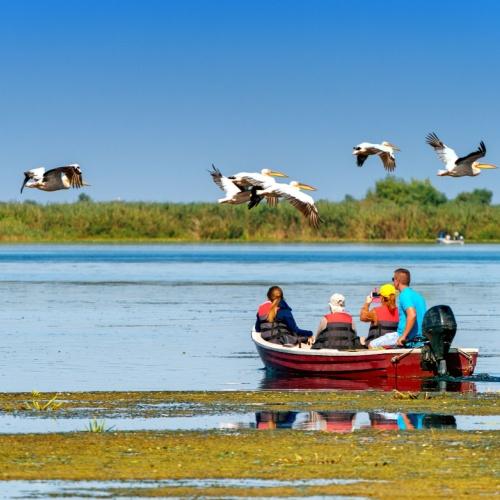 Donaudelta