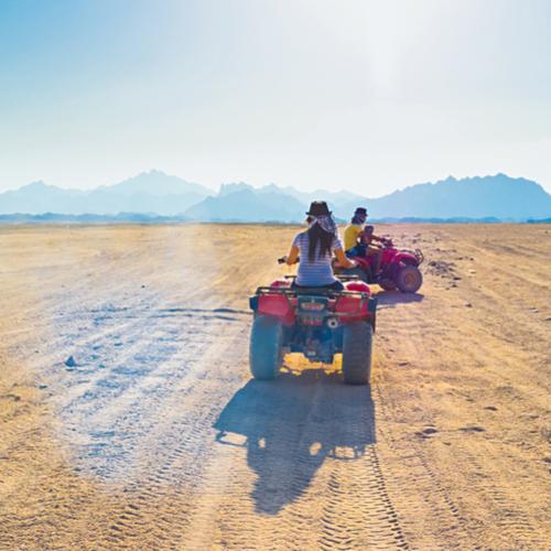 Quad Safari