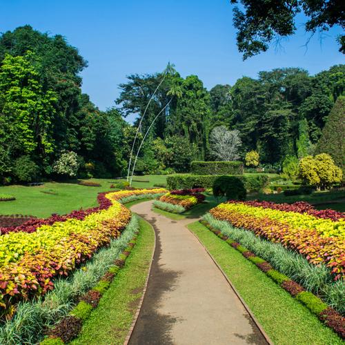 Kandy Botanische Tuin 