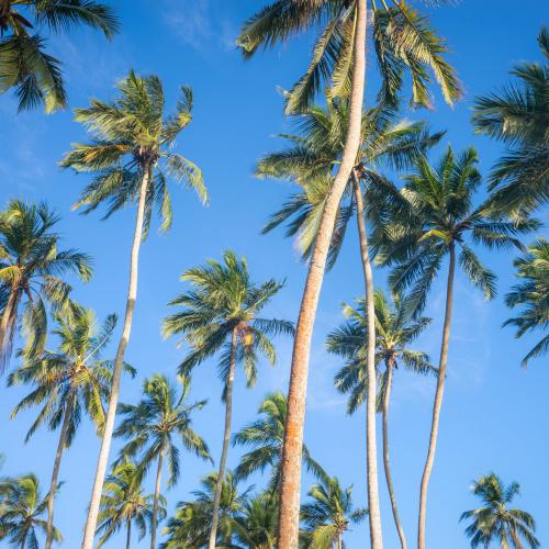 Kalutara