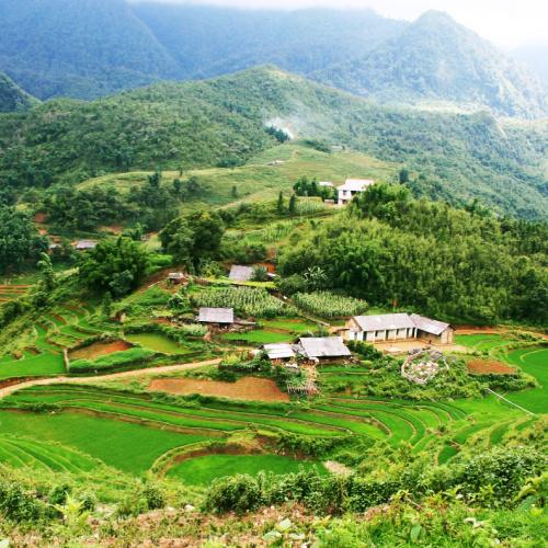 Sapa